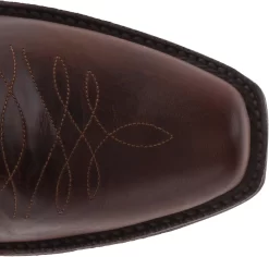 Botte Cowboy Vivy Western Ariat Pour Femmes -Ariat 71GnnvJwLhL. AC UL1425