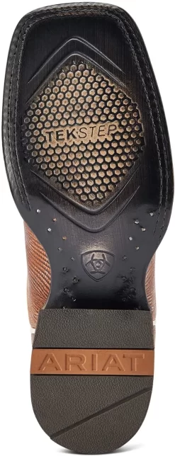 Botte Occidentale ARIAT Frontier Chimayo -Ariat 71fjWiRvpYL. AC UL1500