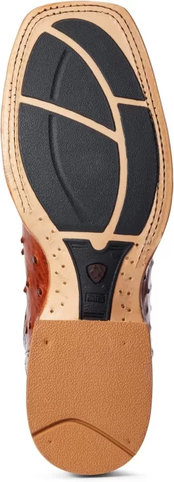 ARIAT Unisexe-Adulte Western -Ariat 71gzfIYxLzL. AC UL1500