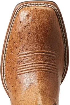 ARIAT Hommes Nuit Vie Ultra Autruche Carré Toe Cowboy Boot Ranger Sqo/Beam BRN -Ariat 71jNWdb7FhL. AC SL1500
