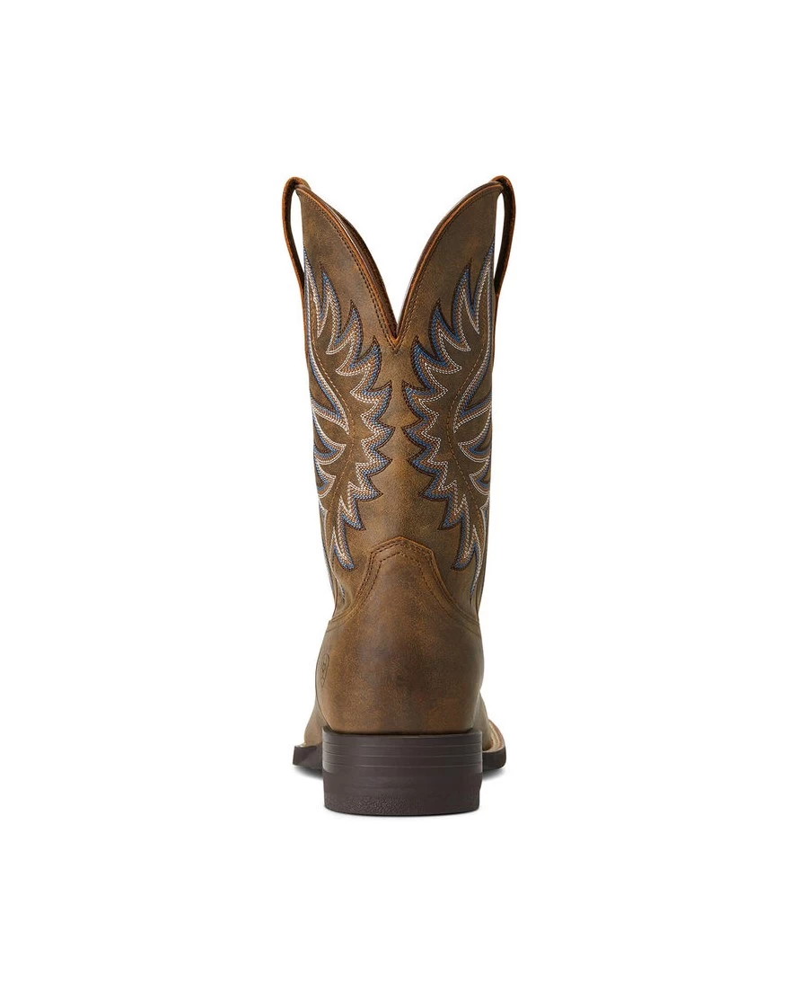BOTTE ARIAT BRANDER BEAR H13 3 BOTTE ARIAT BRANDER BEAR H13 – Image 3