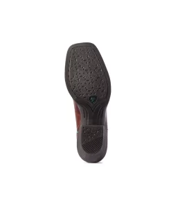 BOTTE ARIAT Buckaroo... 7 BOTTE ARIAT Buckaroo... -Ariat botte ariat round up buckaroo 10031582 2