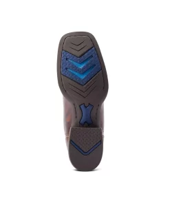 BOTTES ARIAT PINTO VENTEKK...