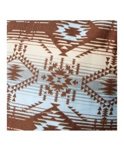 Ariat -Ariat chemise ariat homme team wright 1