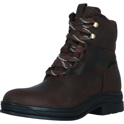 Ariat Chaussure D'Écurie Harper Waterproof Femme Chocolat/Willow 39 1 Ariat Chaussure D'Écurie Harper Waterproof Femme Chocolat/Willow 39