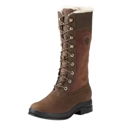 Ariat Botte D'Extérieur Wythburn H2O Isolé Femmes Java 37